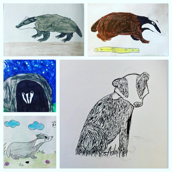 Draw Badger Bill competition winners